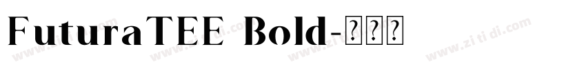FuturaTEE Bold字体转换